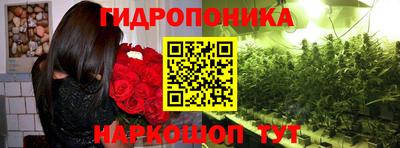 ешки Свободный