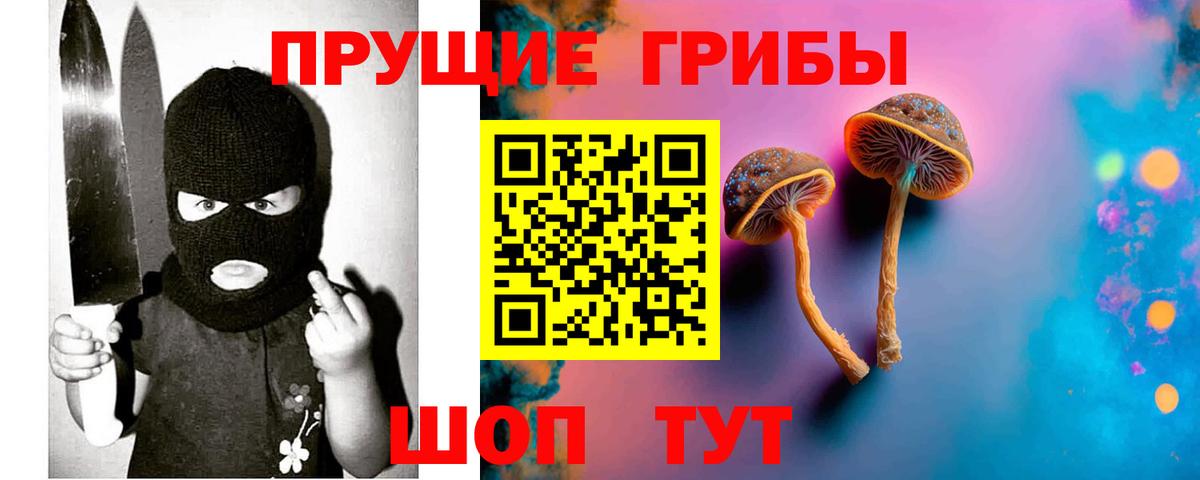 Нягань  Галлюциногенные грибы ЛСД  Вход с VPN  купить  сайты  Псилоцибиновые грибы Psilocybe 