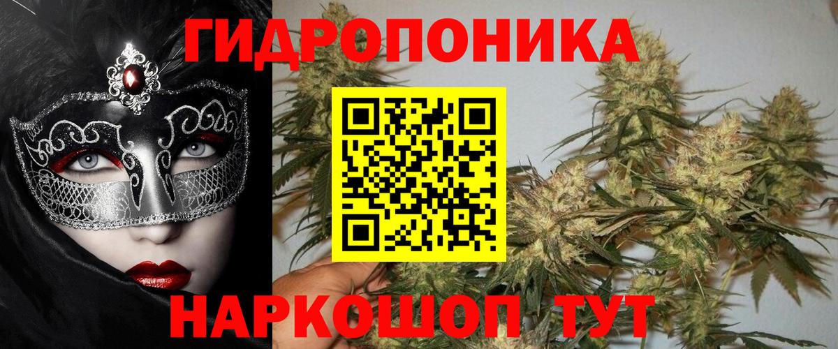 Шишки марихуана сатива  Бошки Шишки Bruce Banner  Нягань  Вход с VPN 